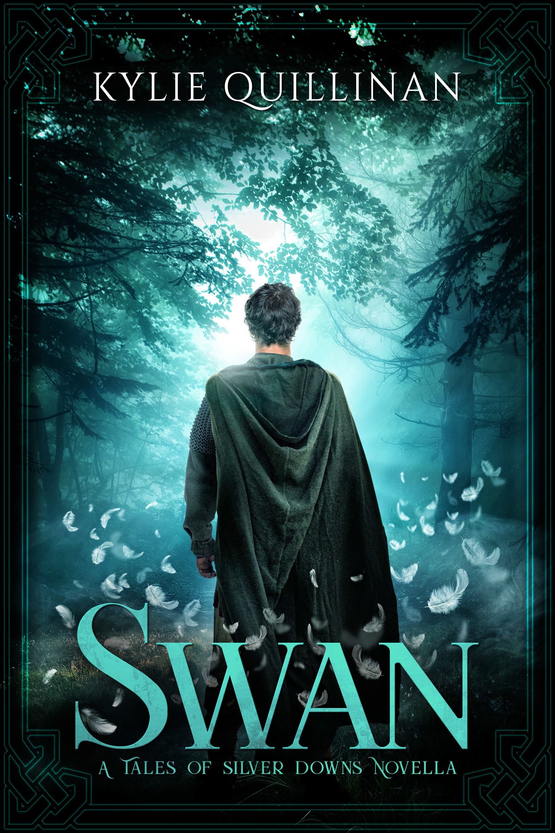 Swan book cover