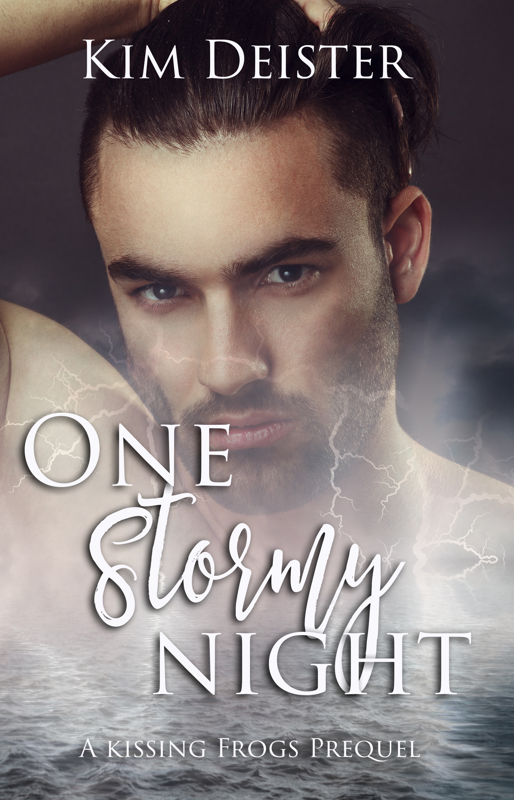 One Stormy Night book cover