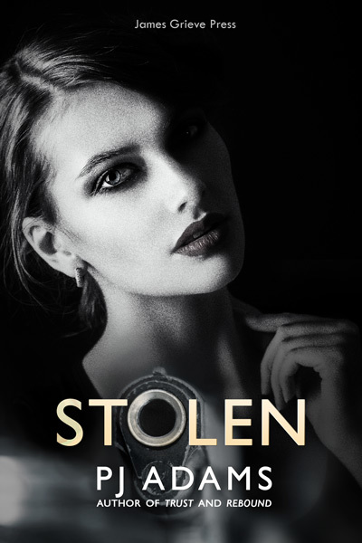 Stolen book cover