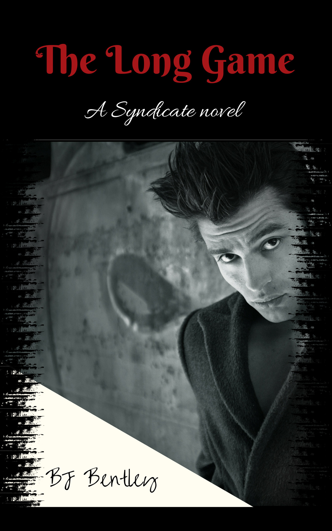 Syndicate book cover 3