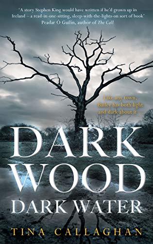 Dark Wood Dark Water book cover