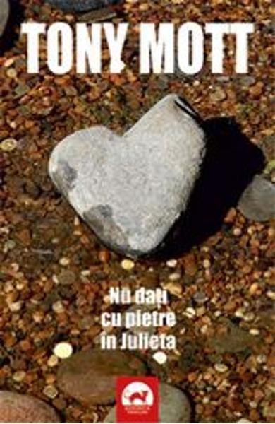 Ana Stancu book cover 3