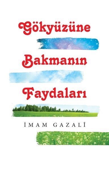 Gökyüzüne Bakmanın Faydaları book cover