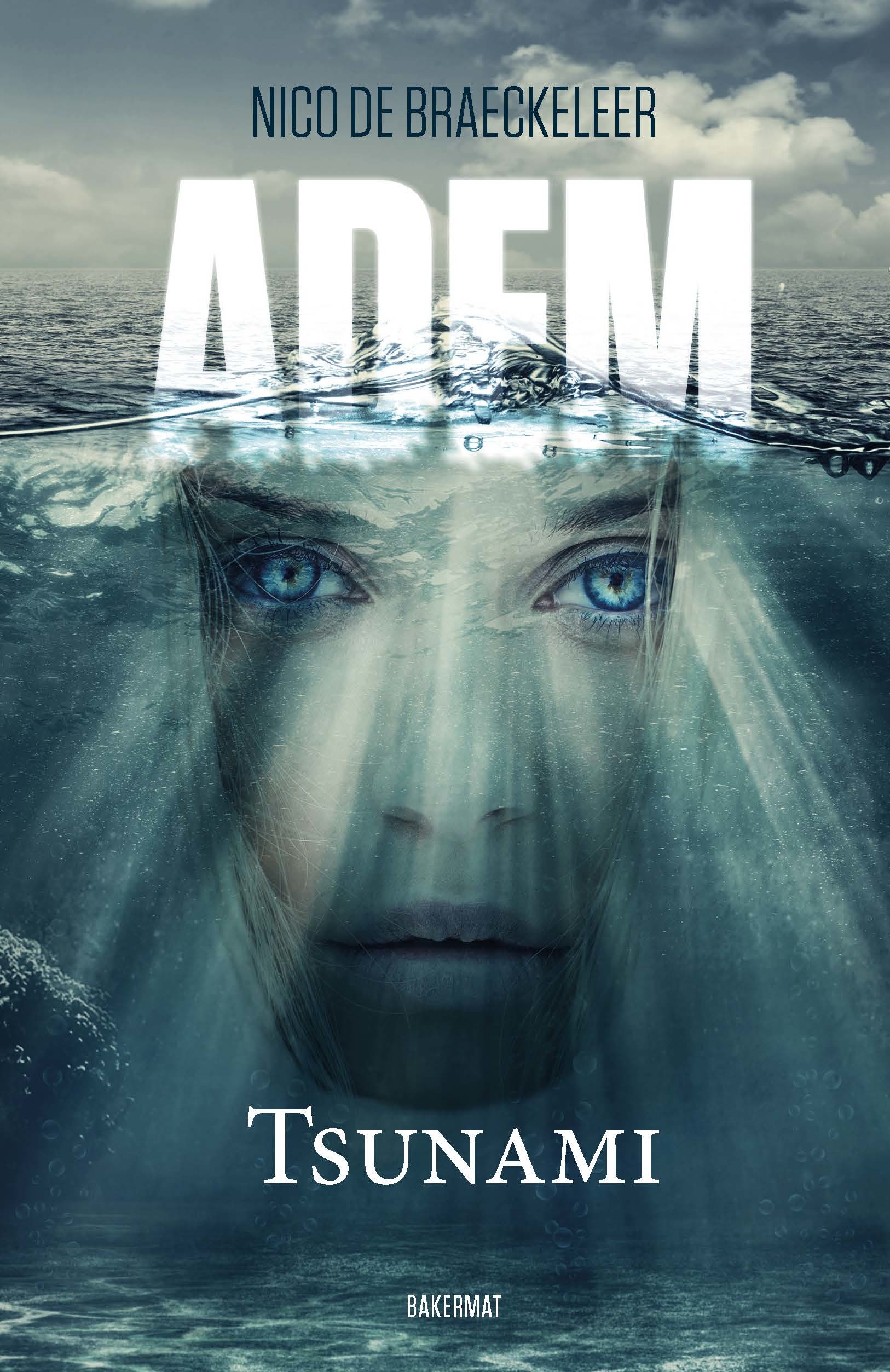 Tsunami book cover