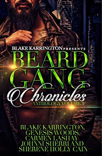 Beard Gang Chronicles 3 book cover
