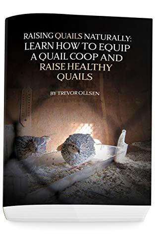 Raising Quails Naturally: Learn How To Equip A Quail Coop And Raise