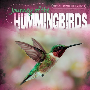 Journey of the Hummingbirds by Annereneae Goyette | Goodreads