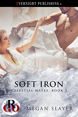 Soft Iron book cover