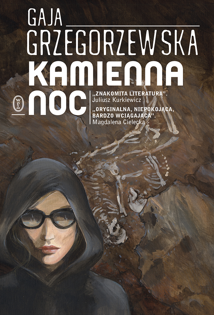 Kamienna noc book cover