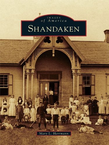 Shandaken book cover