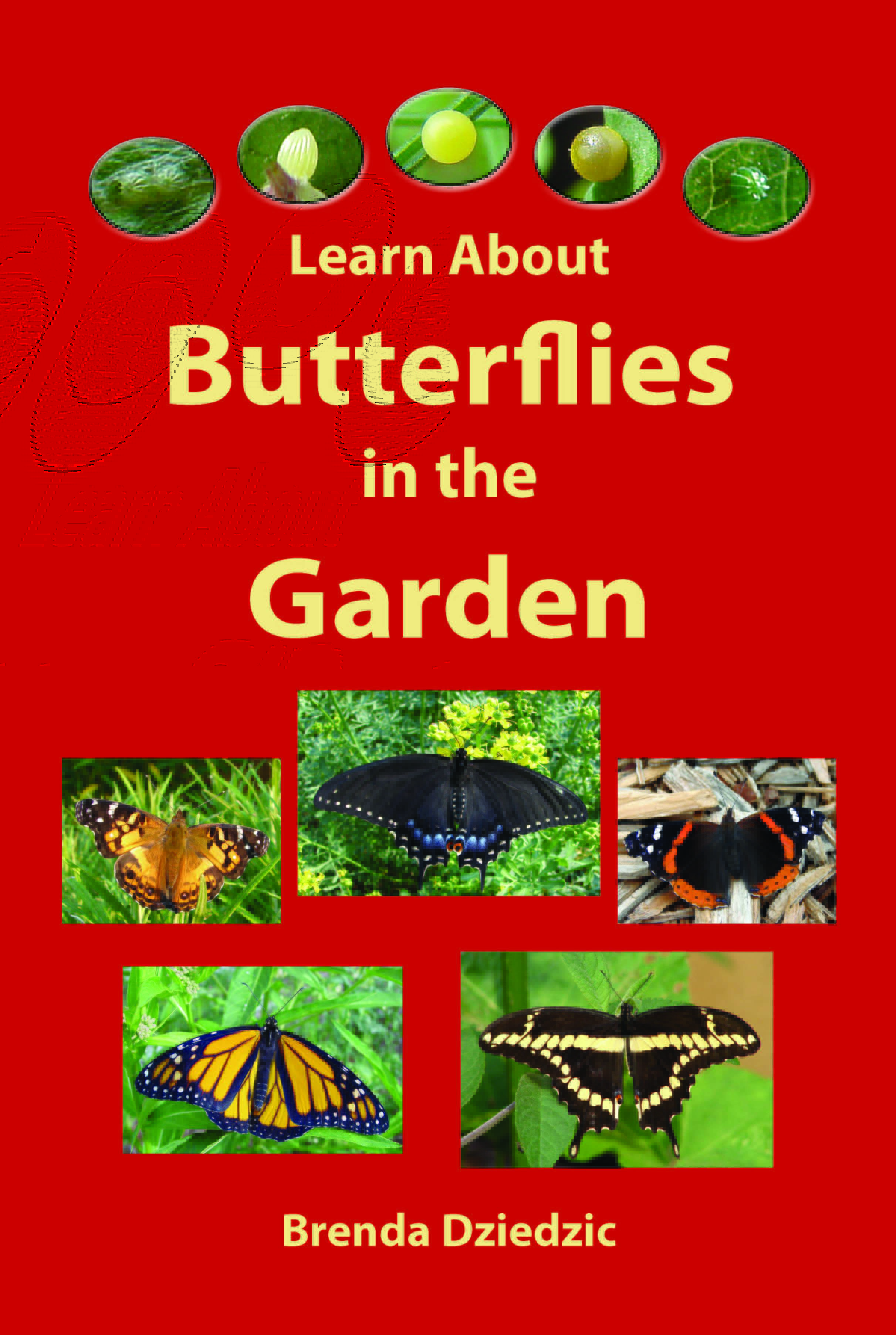 Learn about Butterflies in the Garden by Brenda Dziedzic Goodreads