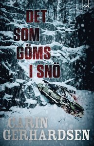 Det som göms i snö book cover