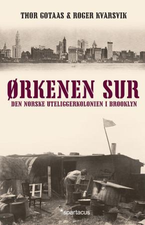 Ørkenen Sur: Den norske uteliggerkolonien i Brooklyn