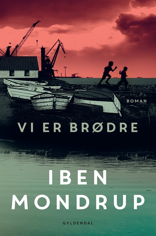 Vi er brødre book cover