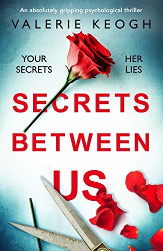 Secrets Between Us book cover