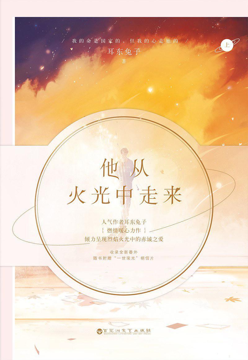 他从火光中走来 book cover
