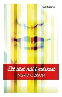 Ett litet hål i mörkret book cover