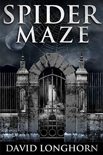 Spider Maze book cover