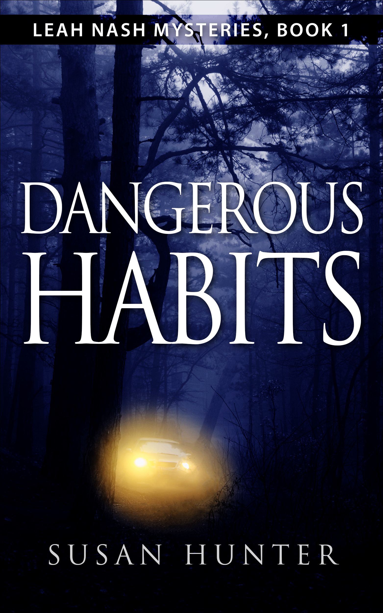 Dangerous Habits (Leah Nash Mysteries, #1)