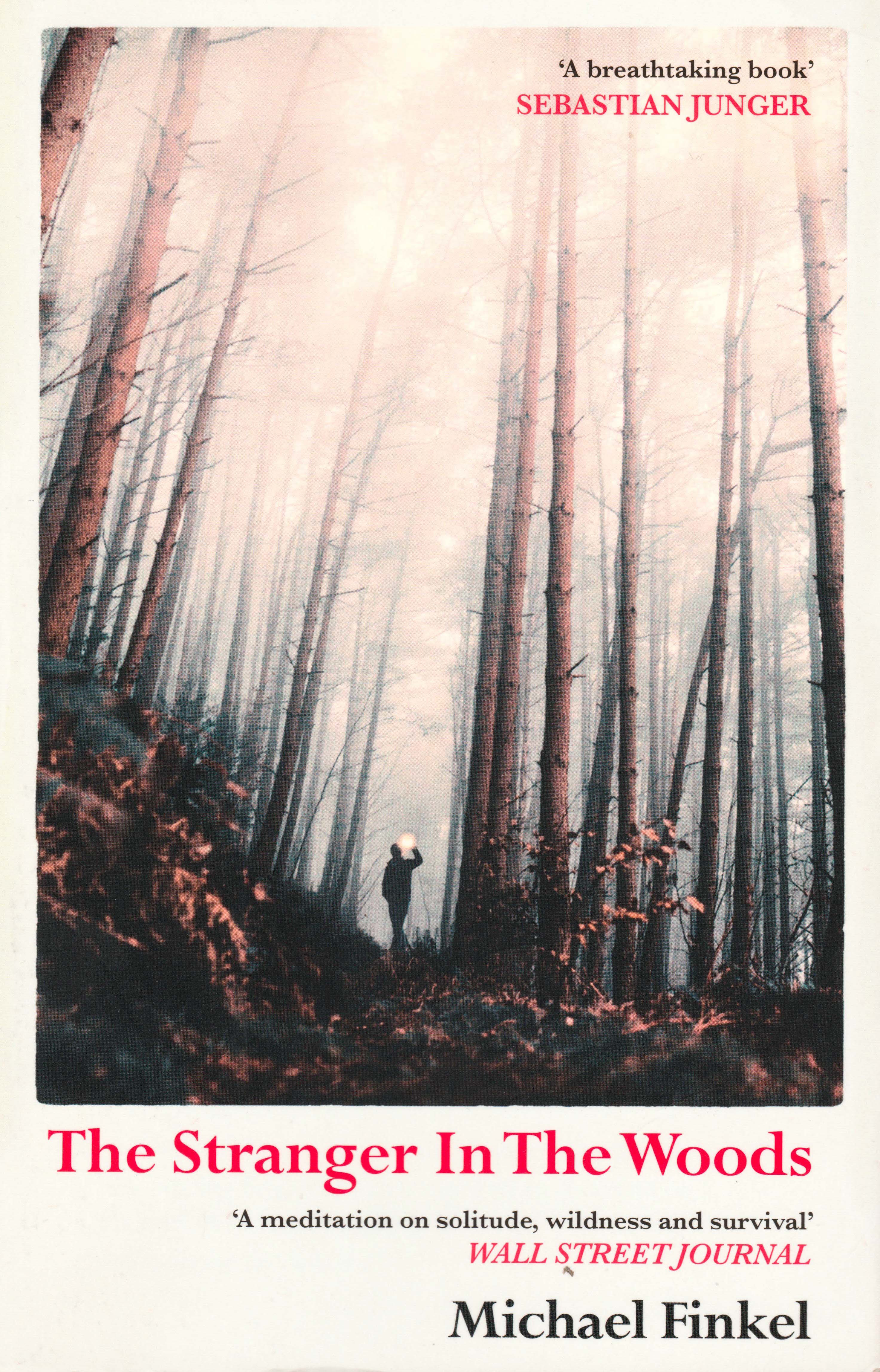 The Stranger in the Woods