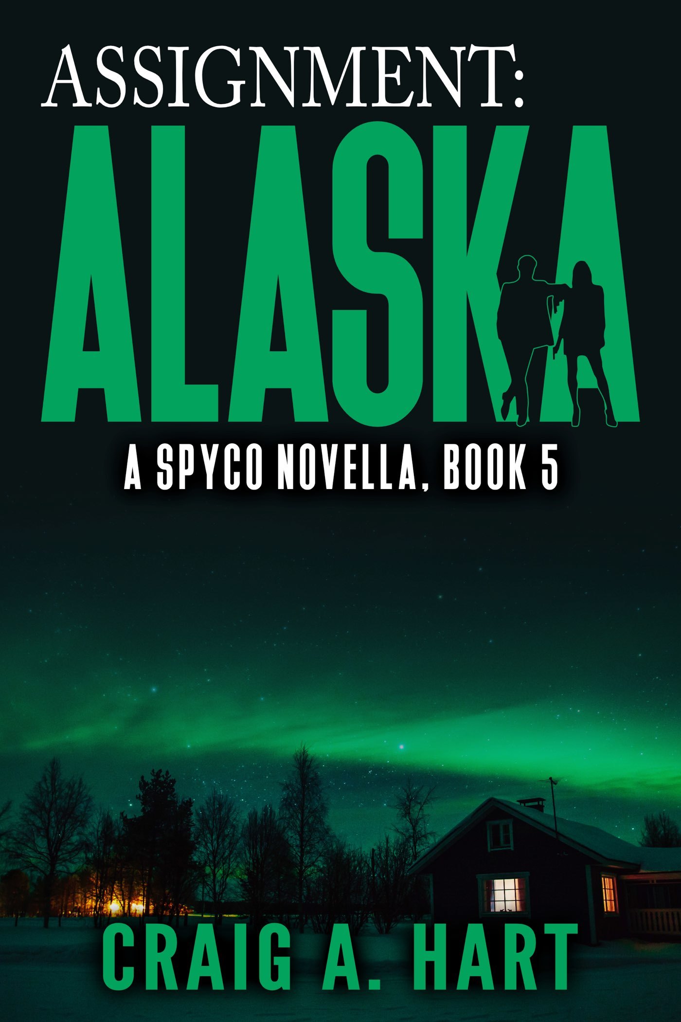 SpyCo book cover 2