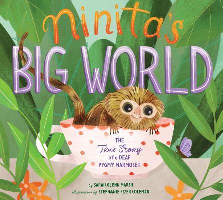 Ninita's Big World book cover