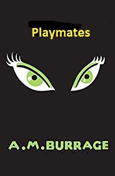 Playmates book cover