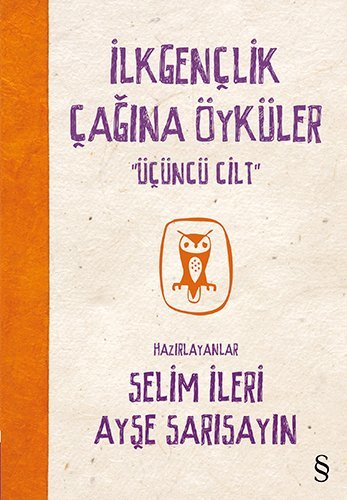 İlkgençlik Çağına Öyküler 3 book cover