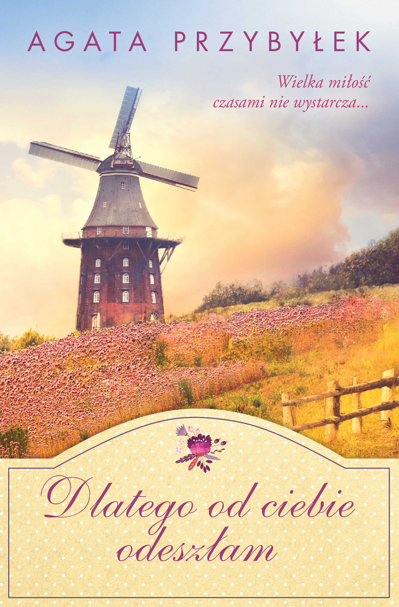 Seria z domkami book cover 3