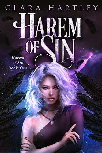 Secrets of the Fallen book cover 1