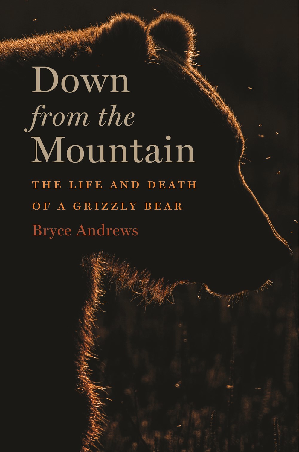 Down From The Mountain: The Life and Death of a Grizzly Bear