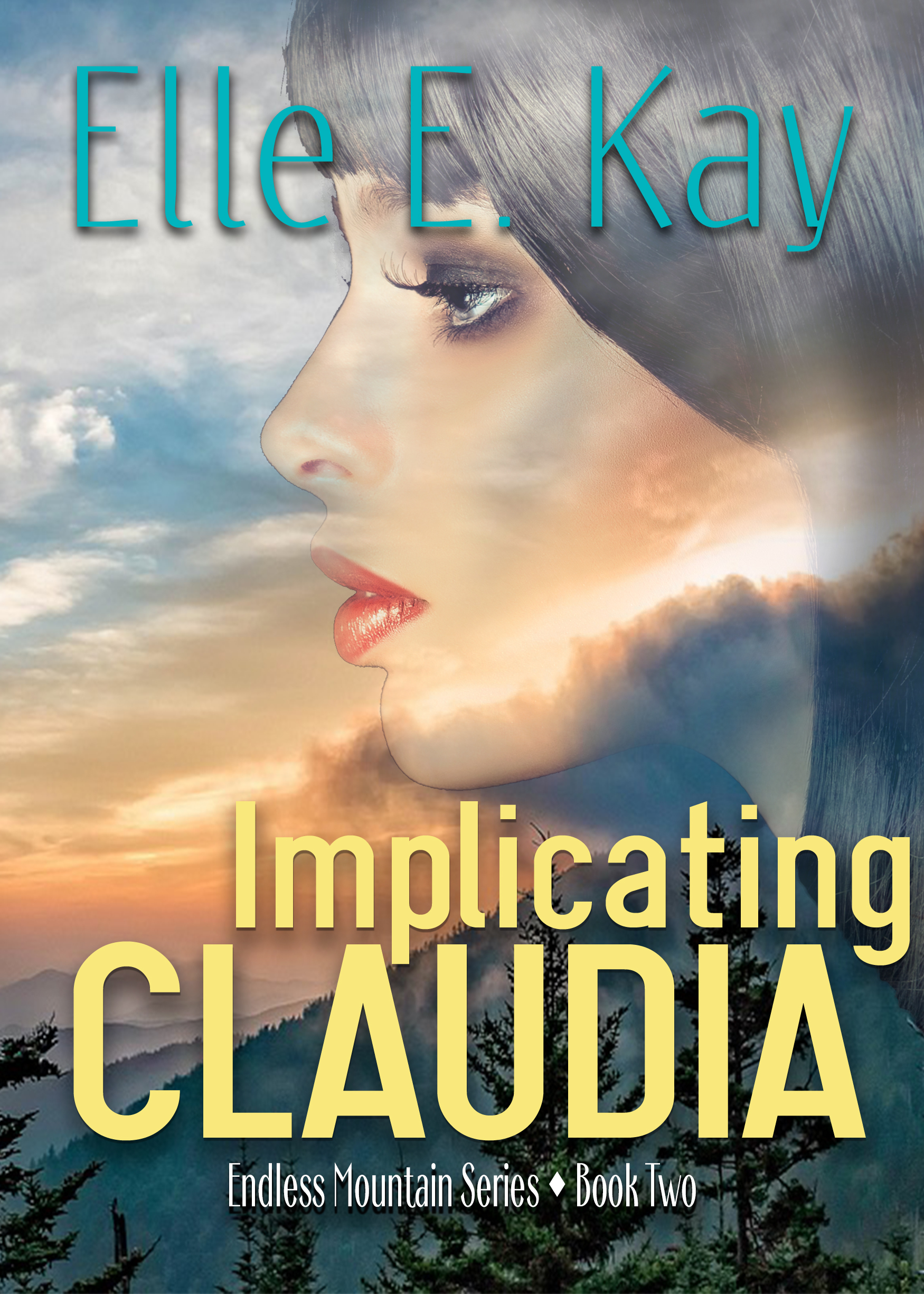 Endless Mountain book cover 2