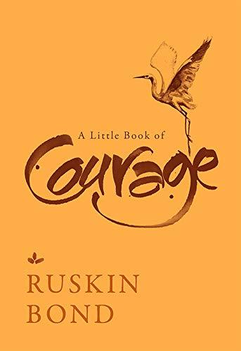 A Little Book of Courage book cover