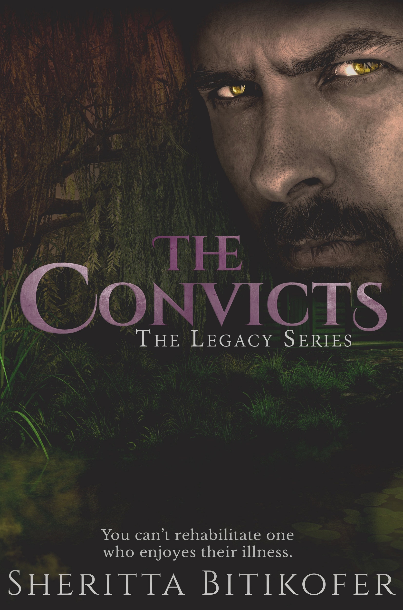 The Convicts book cover