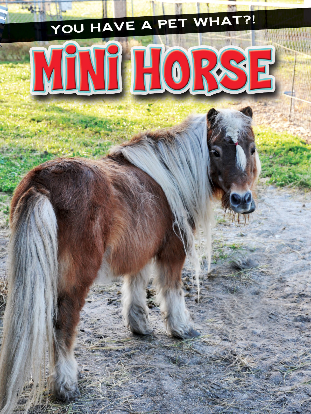 You Have a Pet What?! book cover 3