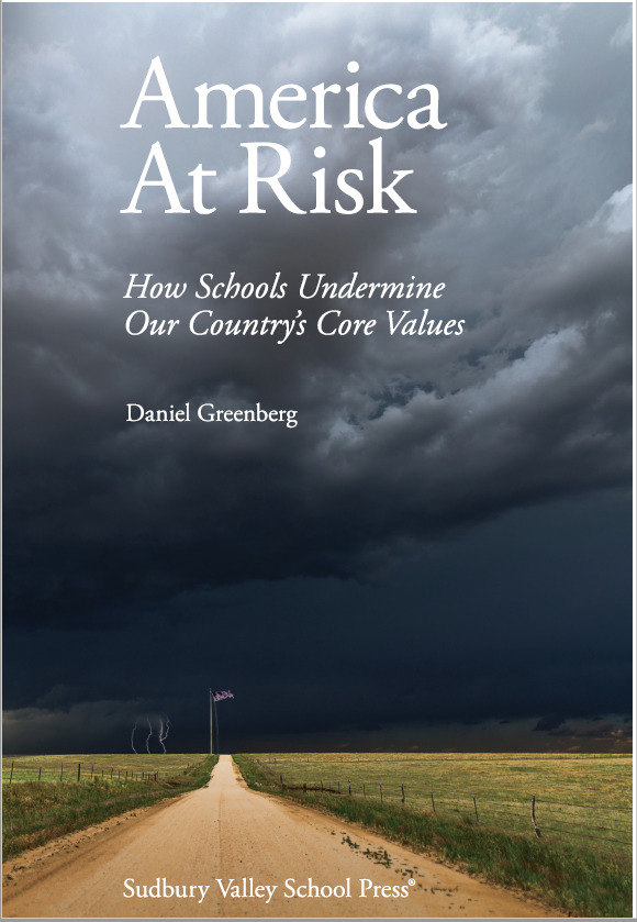 America At Risk: How Schools Undermine Our Country’s Core Values by ...