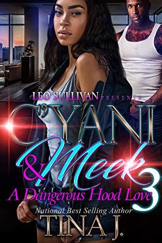 C'Yani and Meek 3 book cover