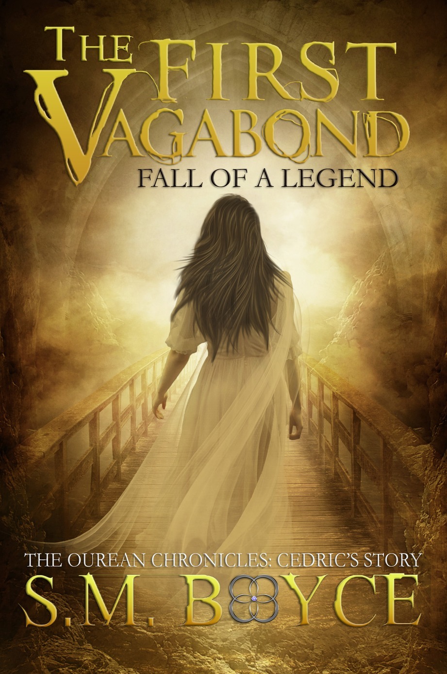 The First Vagabond book cover