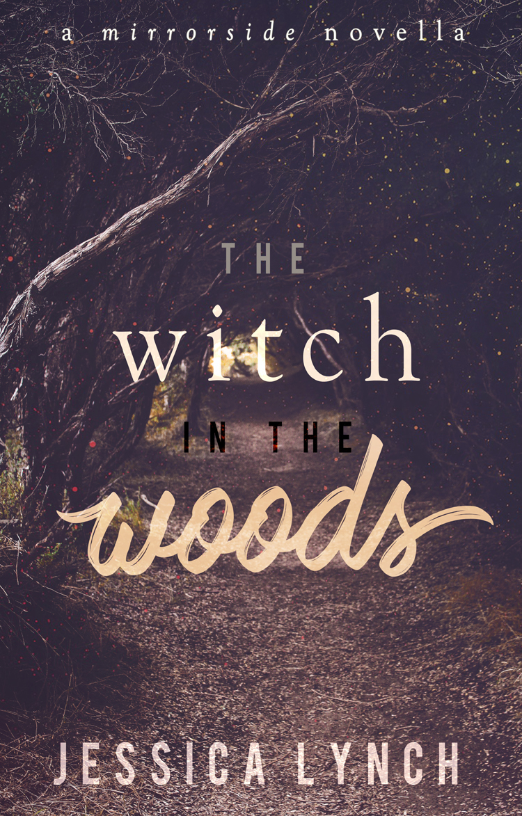 The Witch in the Woods book cover