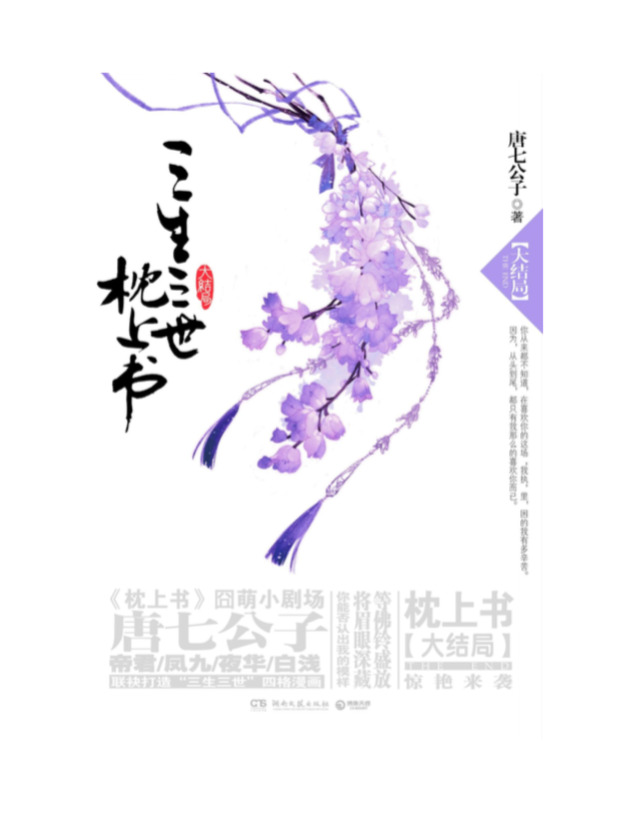 Three Lives Three Worlds, the Pillow Book, Lower Volume by Tang Qi Gong