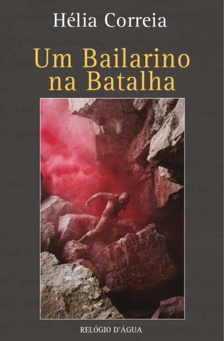 Um Bailarino na Batalha book cover
