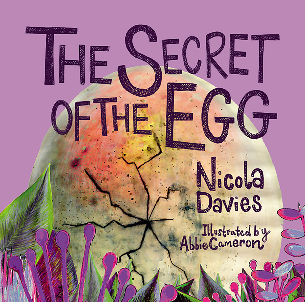 The Secret of the Egg book cover