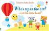 Who's up in the Air? book cover