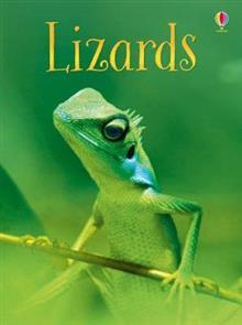 Lizards book cover