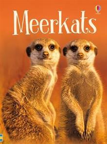 Meerkats book cover