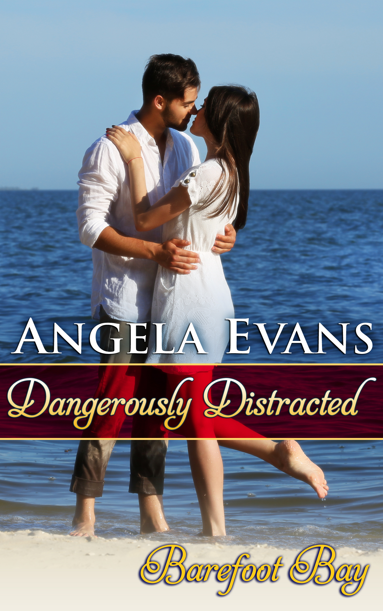 Dangerously Distracted book cover