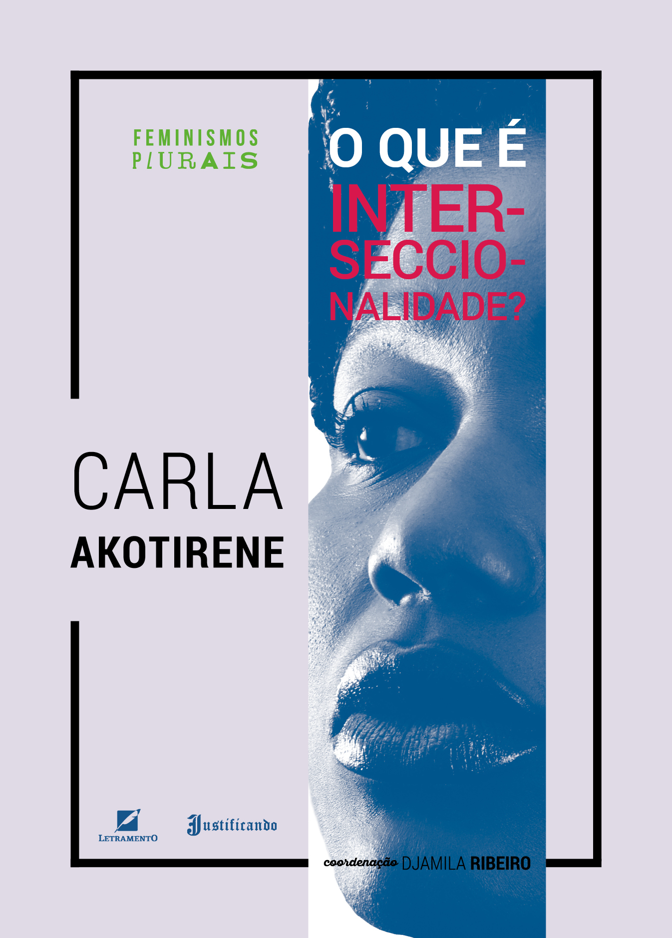 O Que é Interseccionalidade? book cover