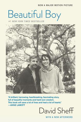 Beautiful Boy: A Heartbreaking Memoir of a Father's Struggle with His Son's Addiction and the Journey to Recovery