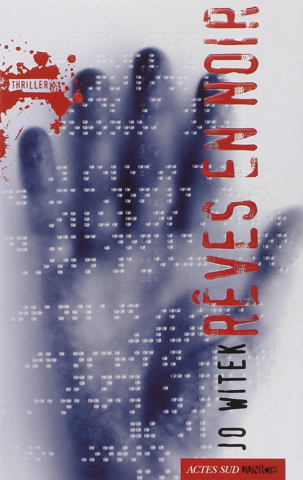 Rêves en noir book cover