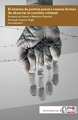 El sistema de justicia penal y nuevas formas de observar la cuestión ...